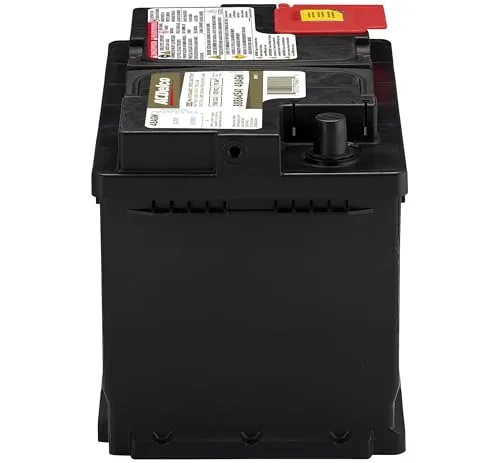 Battery label showing Group 48 spec