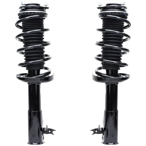 Strut and spring assembly